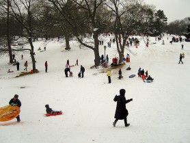 Breugel’s Snow Kids. Central Park